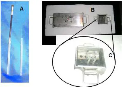 Figura  2.3.  Hastes  de  polipropileno  (A),  equipamento  com  compartimentos  contendo  nitrogênio (B e C) (Ingá-med  ® ), utilizados para a vitrificação de ovócitos, pelo método  de cryotop