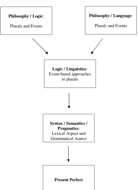 Figure 1. Schema of the Interface Method of Investigation 