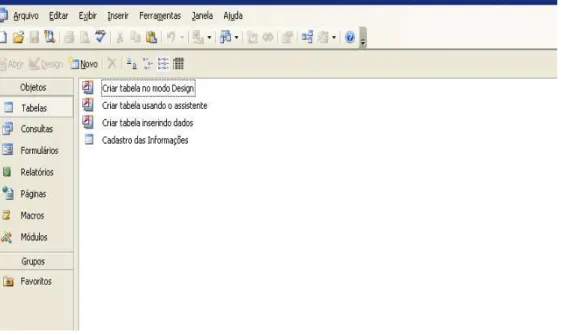 Figura 4 - Tipos de ferramentas disponíveis no programa Microsoft Office Access 2003. 