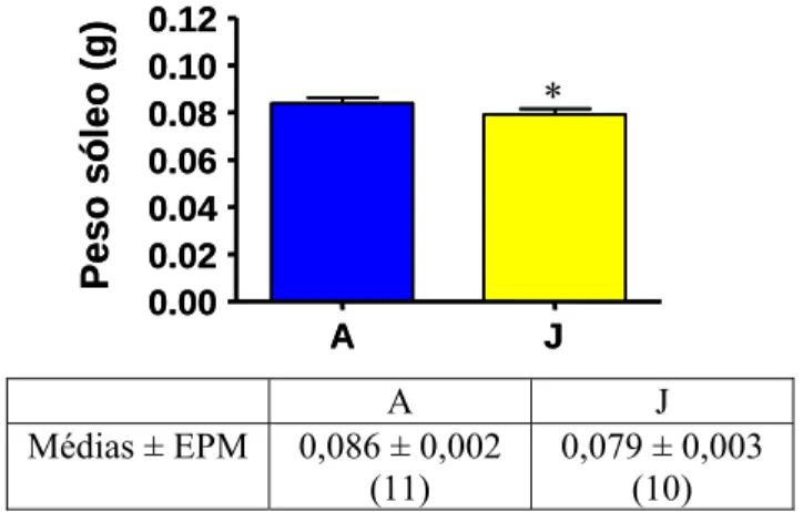 Figura 3: Peso do tecido muscular esquelético sóleo dos animais dos grupos A (alimentado  livremente) e J (jejum de 48 horas)