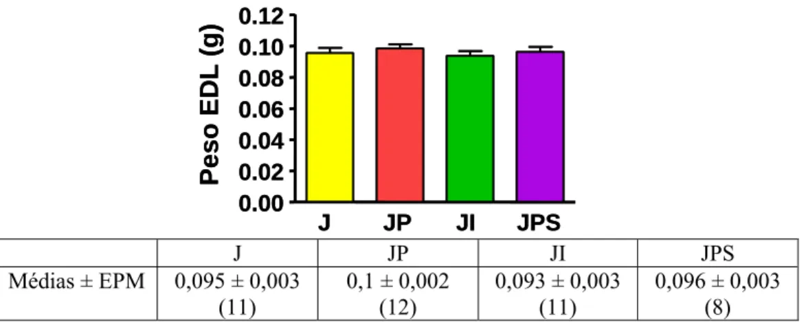 Figura 6: Peso do tecido muscular esquelético EDL dos animais dos grupos (jejum de 48 horas), JP  (jejum de 48 horas sob bloqueio  β1, β2-adrenérgico), JI (jejum de 48 horas sob estímulo β1, β2,  β3-adrenérgico) e JPS (jejum de 48 horas sob bloqueio  β1,  