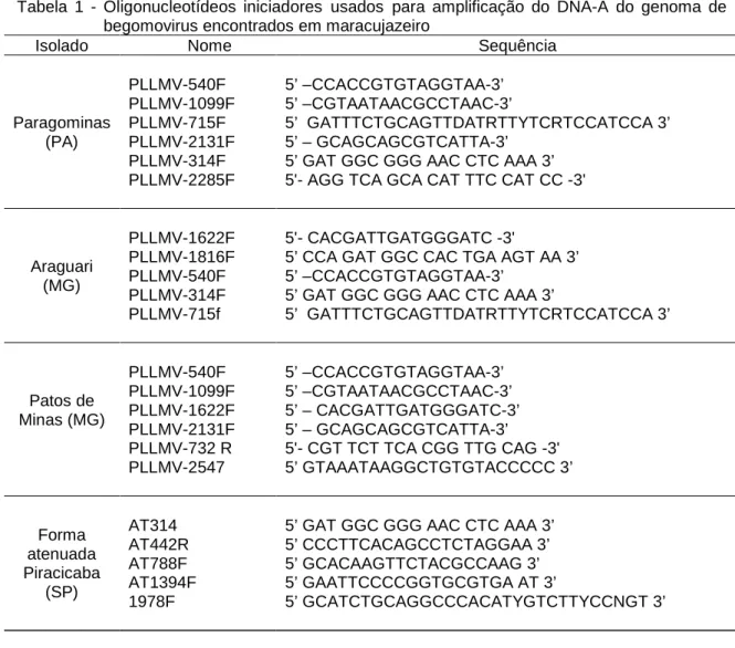 Tabela  1  -  Oligonucleotídeos  iniciadores usados para  amplificação  do  DNA-A  do  genoma  de  begomovirus encontrados em maracujazeiro 