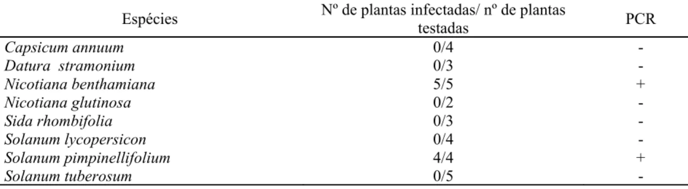 Tabela 4 - Reação de diferentes espécies ao PLLMV avaliadas por meio de enxertia em N