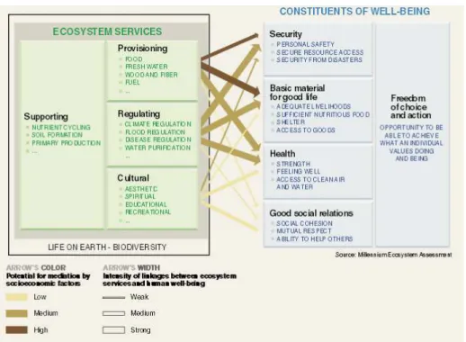 Figure 1.1 - Millennium Ecosystem Assessment Framework: Linkages between Ecosystem Services and  Human wellbeing (MEA, 2005) 