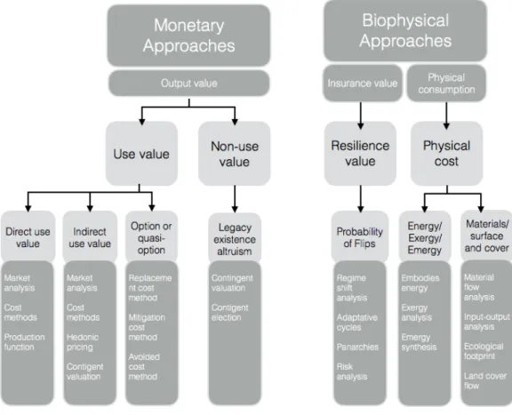 Figure 1.4 – Monetary and biophysical approaches and methods for valuing ES values (adapted from  Gómez-Baggethun and de Groot (2010) and TEEB (2010)
