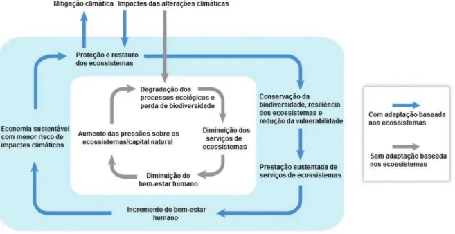 Figura 2.12 Processo de uma adaptação baseada nos ecossistemas e outro processo onde  a adaptação não é baseada nos  ecossistemas (Fonte: adaptado de Shaw et al., 2014) 