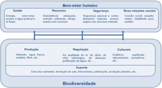 Figura 3.3 Relação entre a biodiversidade, os serviços de ecossistemas e o bem-estar humano (Fonte: Adaptado de MEA,  2005) 