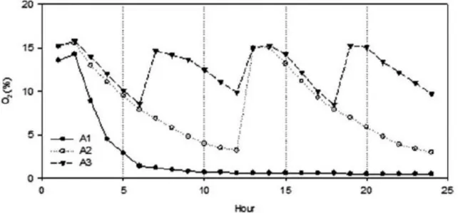 Figure 5.5 - Change of O 2  composition of A1, A2, and A3 during operation at day 45 (Ko et al., 2016)