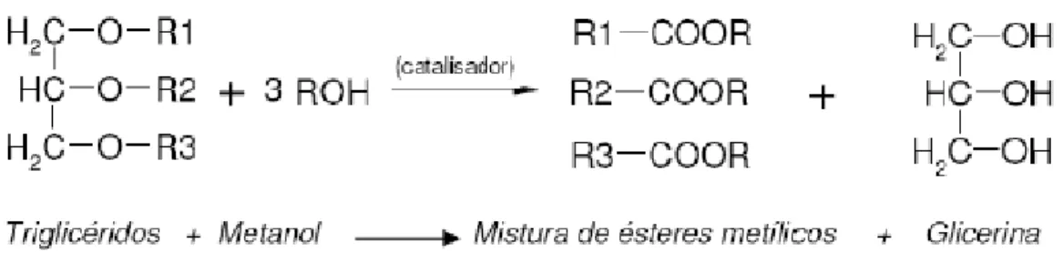 Figura 2.2: Reação de transesterificação. 