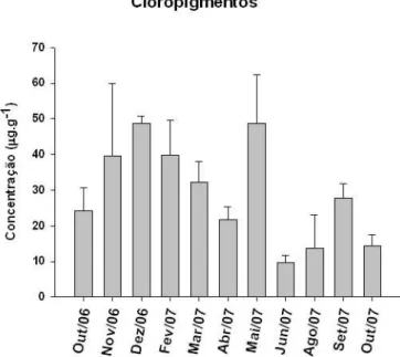Figura 6: Variação temporal dos valores médios da concentração de cloropigmentos  (CPE)  na  plataforma  interna  de  Ubatuba
