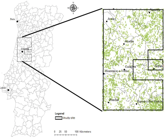 Figure 2 - Study area location (left) and Pinus pinaster distribution in the study area (right) [Fonte: 