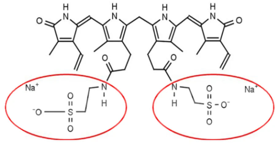 Fig. 11. Bilirubin ditaurate, resulting from the conjugation of one molecule of bilirubin with two molecules of  taurine amide sodium salt (red circles)