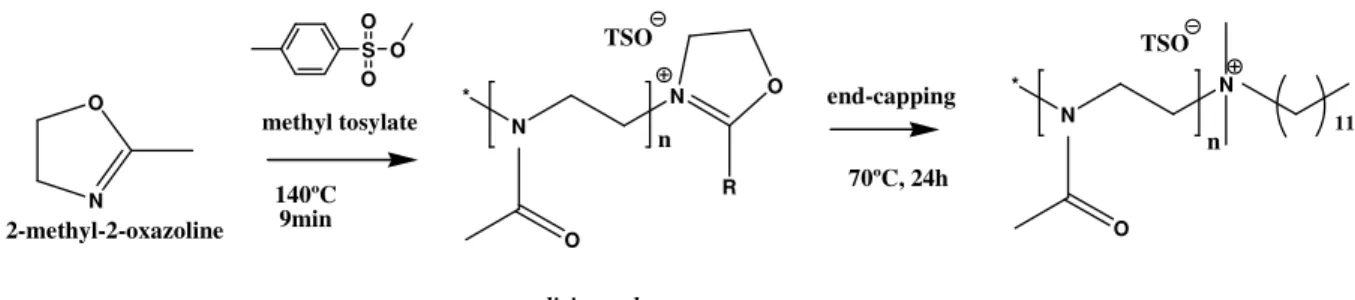 Figure 1.9 Microwave assisted synthesis of poly(2-methyl-2-oxazoline) followed by  end-capping  with  N,N-dimethyldodecylamine
