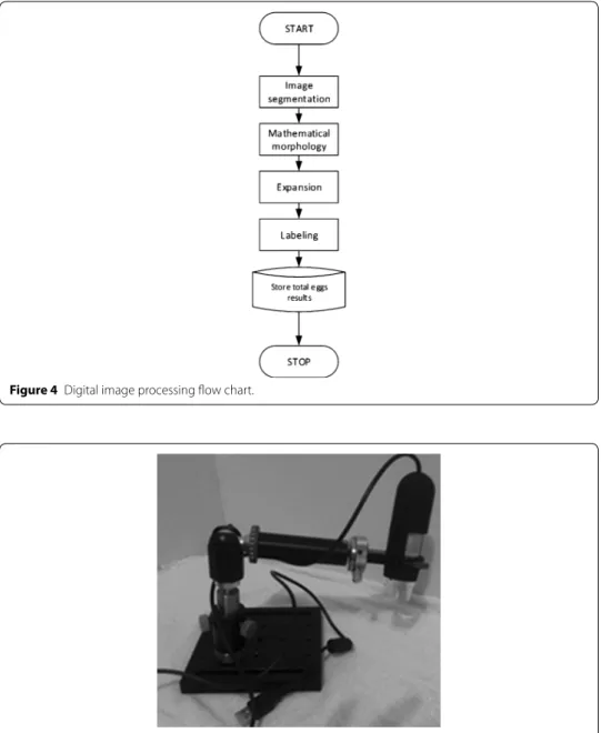 Figure 4  Digital image processing flow chart.