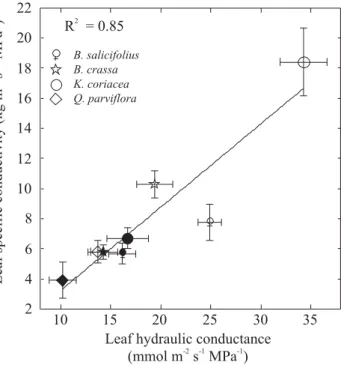 Figure 9.  Relationship between leaf specific hydraulic conductivity (K L ) measured at the branch level and leaf hydraulic conductance (K Leaf ) during wet (closed symbols) and dry (open symbols) seasons in four dominant woody species