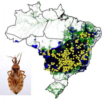 Figura 5:  Distribuição geográfica do T. sordida no Brasil (Gurgel-Gonçalves et  al. 2012b)