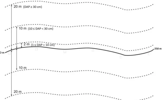 Figura 2. Croqui do arranjo amostral da parcela (250 x 40 m) e das subparcelas (250 x 10 m e 250 x 2 m)  utilizadas nas três classes de amostragem da vegetação (Classe 1 = 1 cm ≤ DAP &lt; 10 cm, Classe 2 = 10 cm ≤  DAP &lt; 30 cm e Classe 3 = DAP ≥ 30 cm)