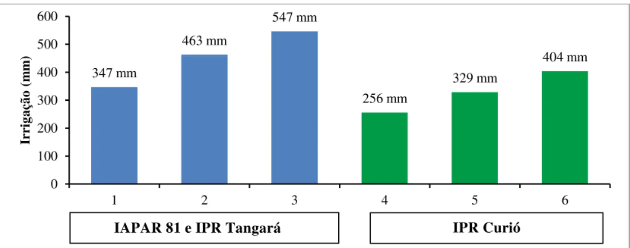Figura 10 - Irrigação total aplicada (mm) de acordo com os tratamentos propostos para as três cultivares  de feijão 