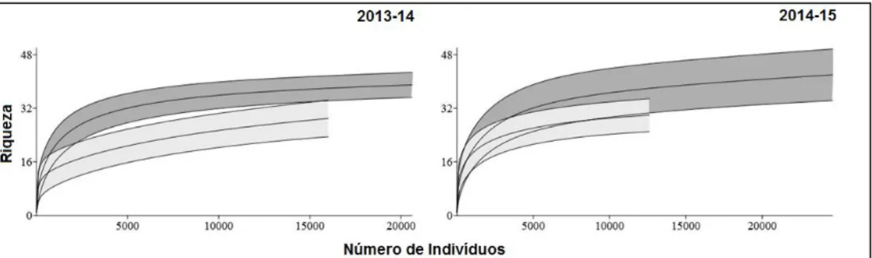 Figura 6. Curvas de rarefação com intervalo de confiança de 95% para cada ano de coleta (período 2013-2014 e  2014-2015)