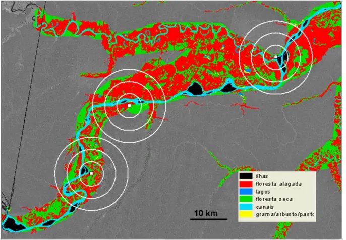 Figura 2. Classificação da paisagem da várzea do Rio Amazonas segundo Forsberg (2000)