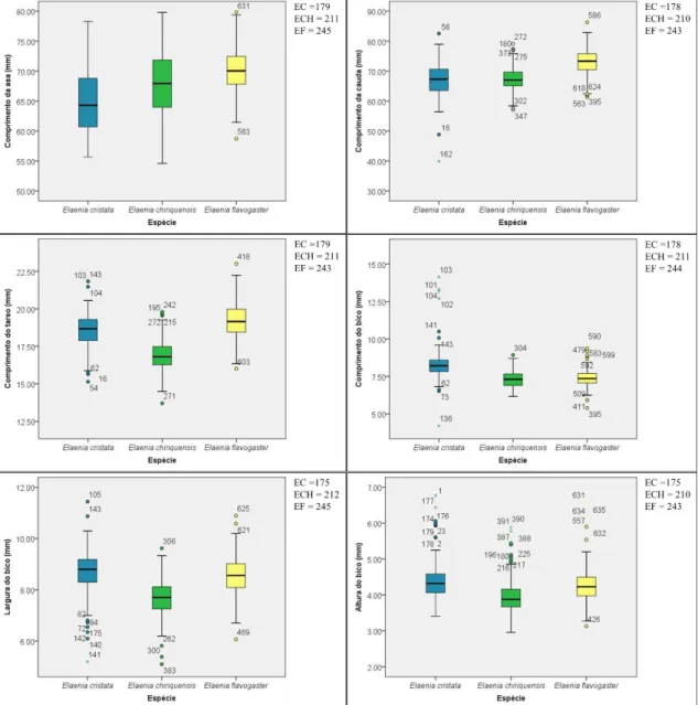 Figura 4. Estatística descritiva (quartis superior e inferior, e mediana) das características  morfológicas analisadas para as três espécies de Elaenia alvos deste estudo obtida com o  programa IBM SPSS statistics