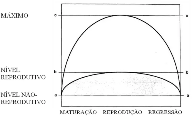 Figura  1.  Padrão geral  da secreção  de testosterona em machos durante a maturação  das  gônadas,  reprodução   e   regressão   das   gônadas