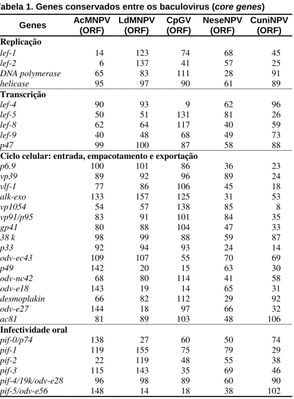 Tabela 1. Genes conservados entre os baculovirus (core genes)  