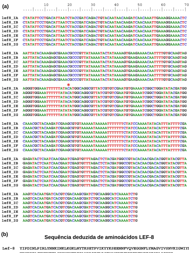 Figura 8. Alinhamento das sequências nucleotídicas parciais do gene lef-8 dos isolados  de  PsinSNPV  (IA  a  IG)