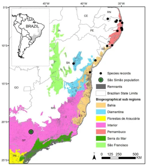 Fig. 1. Remanescentes florestais (11,73%) da Mata Atlântica (cobertura original 150 milhões de  ha) e ocorrências de M