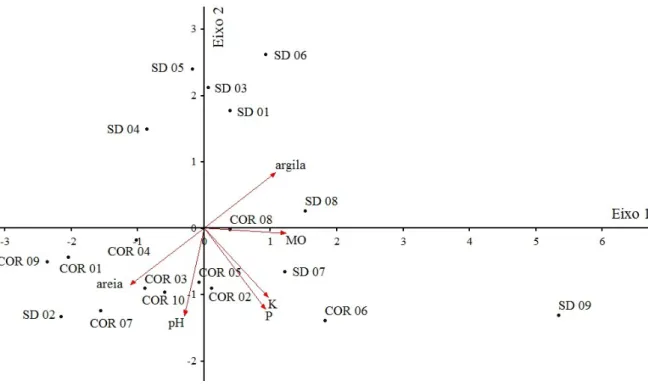 Figura 8: Análise de Componentes Principais das variáveis físicas e químicas dos solos (0- (0-10  cm)  coletados  em  Correntina  e  São  Desidério
