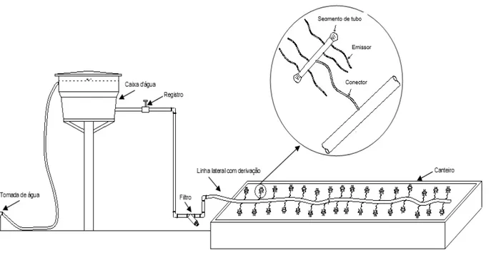 Figura 4 - Esquema do sistema de irrigação com ultra baixa vazão utilizando microtubos ramificados  Fonte: Alves (2010) 