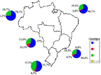 Figura 5: Distribuição dos genótipos do HCV nas diferentes regiões do Brasil           Fonte: Campiotto et al., 2005 (com modificações) 