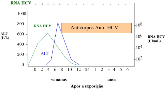 Figura 6: Curso da infecção aguda pelo HCV. A linha verde representa o resultado do  teste  quantitativo  para  o  RNA  HCV  em  UI/mL  (unidade  internacional  por  ml)
