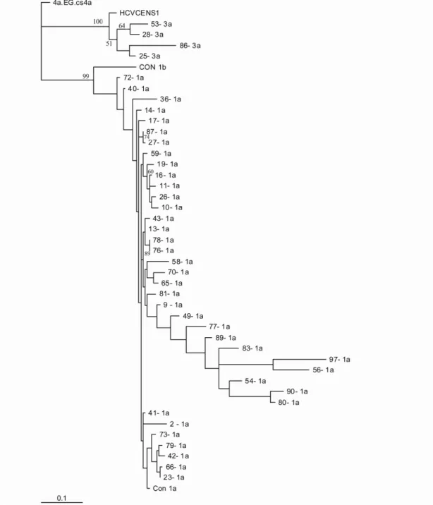 Figura  11:  Análise  filogenética  da  região  NS5B  do  HCV  em  amostras  de  pacientes  em  hemodiálise  no  Distrito  Federal