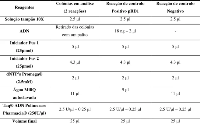 Tabela 4 – Reagentes e respectivas quantidades utilizados na reacção de PCR de colónia e respectivos controlos