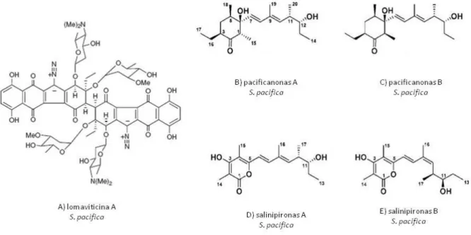 Figura  1.  3 –   Estruturas  dos  compostos  bioativos  produzidos  por  Salinispora  pacífica