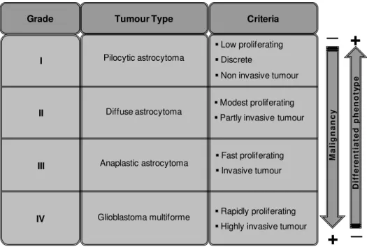 Table I. 1  –  Astrocytoma grades. Astrocytomas can be divided in four groups based on their malignant grade  and general tumour characteristics, in accordance to World Health Organization