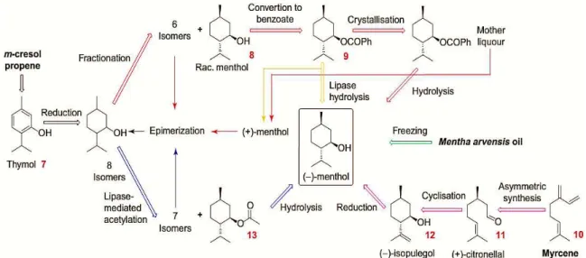 Figure I.6- Industrial production of (-) – menthol. In red we have Haarmann and Reimer process,  in green the extractive process and in violet we have Takasago process