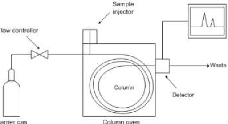 Figure II.1- Scheme of the GC system. 29