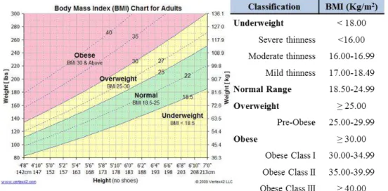 Figure 1.1  –  Body Mass Index classification. The standard method to determine and classify obesity in  the adult population (WHO, 2000)