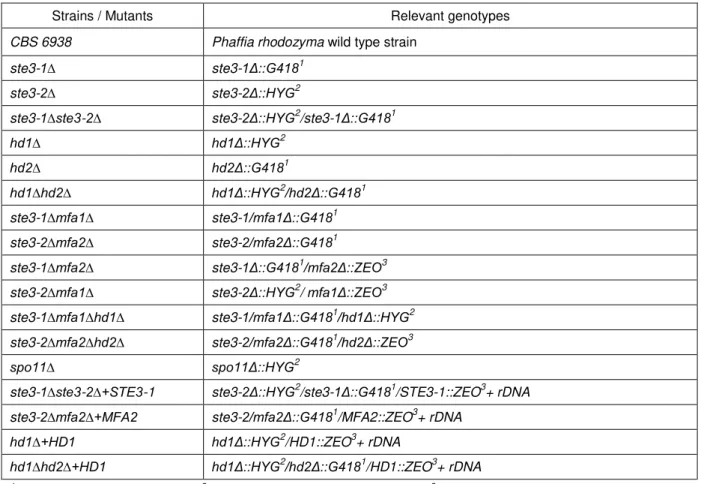 Table  3.1.  List  of  P.  rhodozyma  strains  used  and  correspondent  genetically  manipulated  derivatives  generated in this study