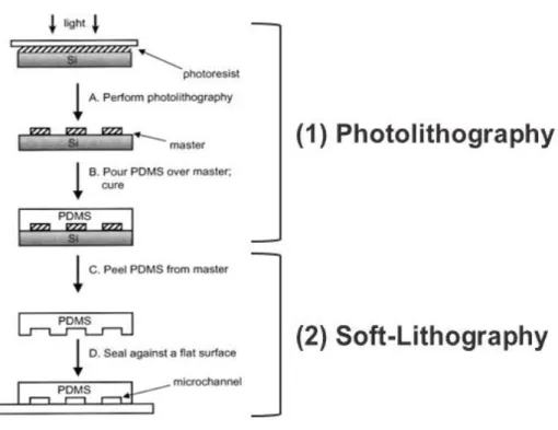 Figure 1.17 | Representative scheme of photolithography and soft-Lithography process.  Photolithography (1)  followed by soft-lithography (2) allow to obtain a direct replica of the inverse mask (negative resist) (A), (B) and (C), after the UV  exposure an