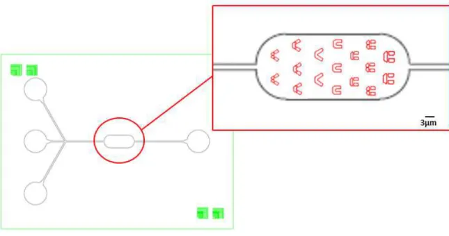 Figure 2.1 | Schematic diagram of the chip top view used for RBC trapping.  This specific chip contains  only one inlet and outlet and comprises a single chamber
