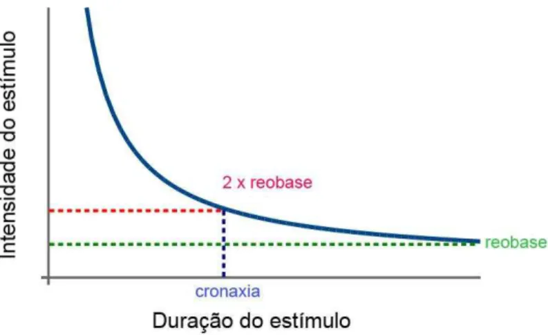 Figura 2  – Diagrama de intensidade X tempo, ilustrando os conceitos de reobase e cronaxia