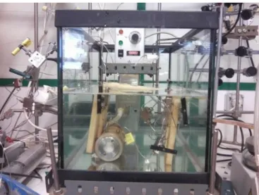 Figure II.1 - Experimental set-up for the batch reaction. 