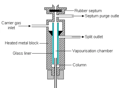Figure II.5 - Figure describing a GC injector and were the main components are located