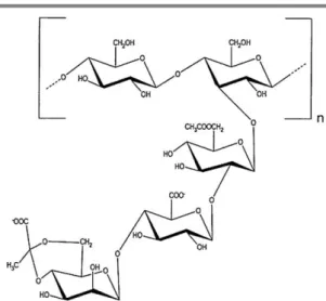 Fig. 1.2 - The ideal repeating unit of xanthan as reported by Jansson et al. 1975. 