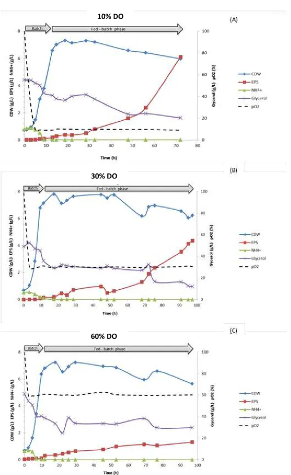 Fig. 4.1 - Cultivation profiles for Enterobacter A47 with dissolved oxygen concentration controlled  at 10% (A), 30% (B) and 60% (C) air saturation