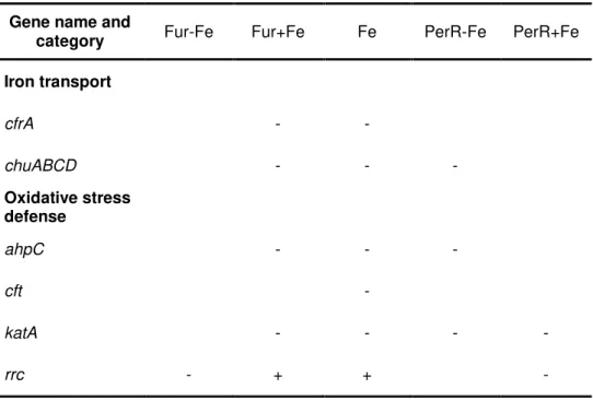 Table 1.1: Example of genes up and down regulated by Fur, PerR and iron. The signals 