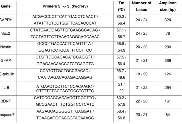 Table I - Primers used in mRNA quantification by real-time PCR. 